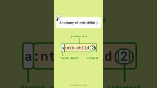Anatomy of :nth-child #CSS #nthChild #WebDevTips #frontendly #cssselectors