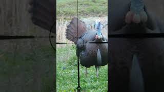 Turkey Incoming!! Talk About Fired Up!