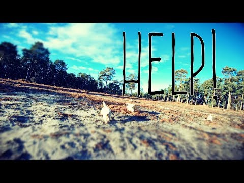 Vicious dogs attack drone 😛