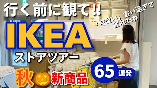 【IKEA】秋🍄新商品ガッツリ紹介/ウソやろ価格🎄旧クリスマス商品