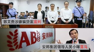 中国热评：郭文贵骗贷案宣判 安邦吴小晖落马