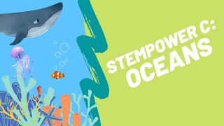 Make your own OCEAN with ANIMALS!!! - STEMpower