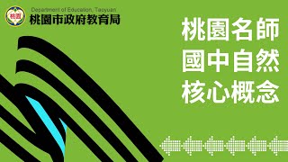 自然 - 理化（物質的組成與特性 - 金屬與非金屬性質）