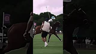 Mission: find a sport a horse CANT do?! | pt. 2 | #horse #riding #sports