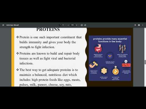 human body
