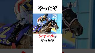 [Major incident] A lot happened in the GI Sakitama Cup... Shamal is strong!