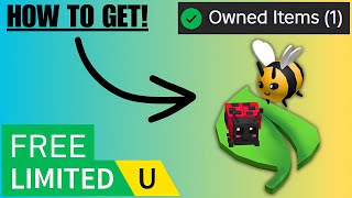 Free Cute Ladybug & Bee Friends UGC Limited