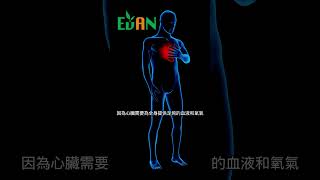 暴飲暴食會增加心臟的負擔#艾門享受健康計畫 #飲食計畫 #減肥 #瘦身 #健康  #蔬果漾 #優菌多 #亮妍肌漾