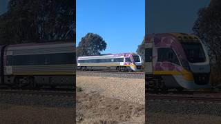 6 Car V/Line VLocity Train approaching level crossing at Bowser VIC - Train Horns for days! #railway