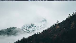 Рабочий стол Linux  (Polybar + Xsnow)