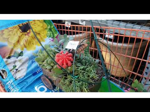 gardening haul pt 1