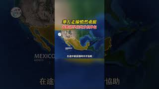 華人走線悄然重組，從蛇頭掌控到分段外包