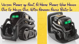 Best Vector Robot || A Home Robot Who Hangs Out & Helps Out