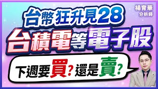 (有CC字幕)2025.06.27【台幣狂升見28  台積電等電子股  下週要買?還是賣?】#楊育華 #股市御錢術