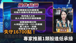 台股看民視／失守16700點…權值股漲勢熄火！專家推薦「1類股」逢低承接－民視新聞