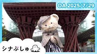 【赤ちゃんが喜ぶ】シナぷしゅ公式25/07/29│赤ちゃんが泣き止む・知育の動画