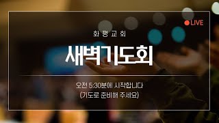 2021년 06월 19일 화평교회 새벽기도회 Live