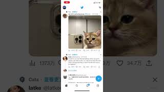 推特账户批发,twitter账号购买,低价便宜的Twitter账号