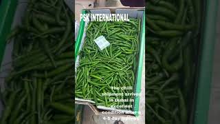 G4 Chilli #importexportbusinessopportunities #chilli #farming #dubaimall