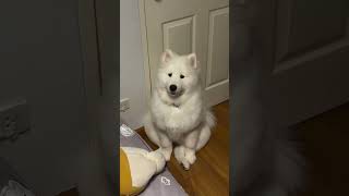 This sitting posture shows that there is no trouble at first glance