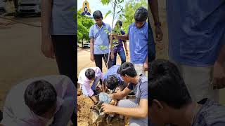 Plant a tree today; it will help us breathe tomorrow. We agastyans have started to do so.l
