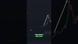 The Bullish Bitcoin Market  Analyzing Historical Rally Patterns