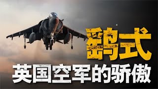 世界首款垂直起降固定翼飞机，曾馋哭美国