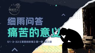 S1-3-32 痛与苦的由来 痛苦是什么？ 痛苦的意义是什么？《思想的阶梯》第一季 第三册 《知道vs问道》#细雨资料 #细雨问答#身心灵卡顿