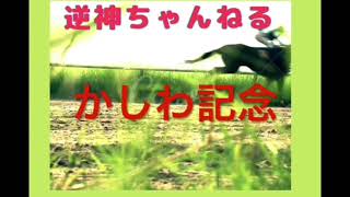 かしわ記念 最終予想