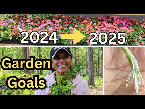 Reviewing the 2024 Garden - What's In Store For 2025 | Gardening VLOG || Budget Gardening