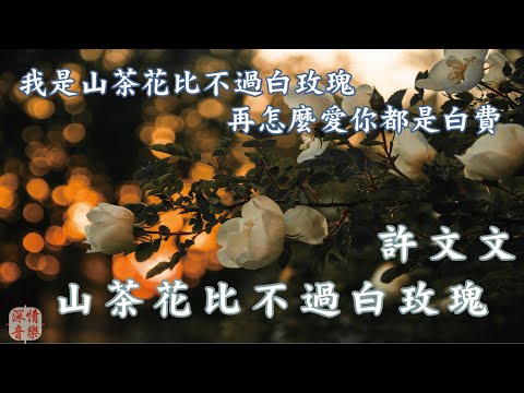 🔄深情精選情歌🔄 许文文 - 山茶花比不过白玫瑰『我是山茶花比不过白玫瑰  再怎么爱你都是白费   她是心上人我是某某某  是连名字都忘记的那个谁』