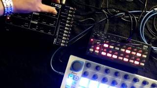 Moog Werkstatt-01, Korg SQ-1, Arturia Beatstep
