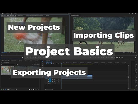 Adobe Premiere Pro: Project Basics