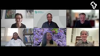 Webinar Responding to crises: What to learn from African experiences