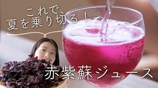 夏を元気に！赤紫蘇シロップのレシピ・作り方