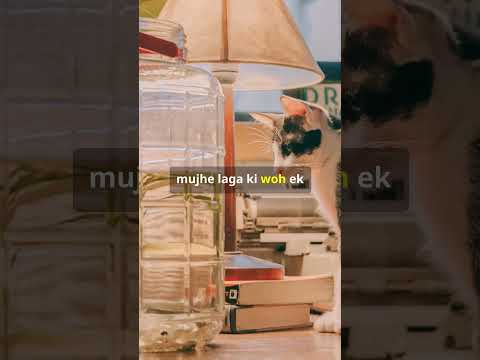 Meowlexa’s First Day at AI School – #aismartdesk #shorts #catstory
