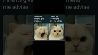 Funny Memes #1457😂😂Hilarious Memes😂😂 Relatable memes😂 random memes😂 memes compilation #short