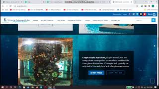 Design wordpress website for you - Best WordPress service
