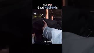 이거 알면 무조건 세븐틴 멤버임