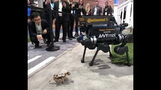 Nybble the Robot Cat Meets the Big Leagues at CES 2019! | Best Walking Robot | PetoiCamp