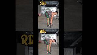 Difference between SDL and RDL 🏋️‍♂️ 💪 #shorts #motivation #gym  #viralshort #dumbleworkout