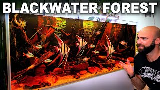 Blackwater Forest: EPIC Natural Habitat Style Aquarium (Aquascape Tutorial)