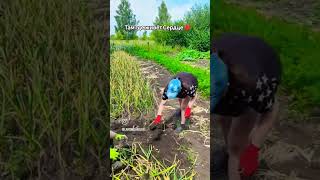 #родителидети #семьяларионовыхпенза #семьякаплуновскихсаловкапенза #хит