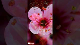 augmented reality experience #augmentedreality