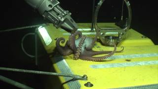 Cascadia Initiative: Octopus departs ocean floor seismic station J29C