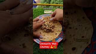Drumstick Onion Garlic Thecha🤯 | Desi & Healthy Chutney Recipe #shorts #ashortaday #trending
