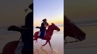 #骑马 #策马奔腾 #精彩片段 #野骑 #热门推荐   抖音