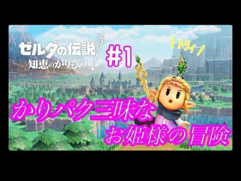 光の力、お借りします！【ゼルダの伝説 知恵のかりもの】#1