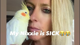 Nixxie is SICK 🙏😭