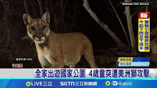 民宅監視器"後院有人" 屋主檢查見美洲獅 美洲獅突攻擊4歲女童 被國家公園安樂死│記者 劉玨妤│萌寵54來當家20250725│三立新聞台